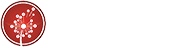 Beyond Commercial Footer Logo